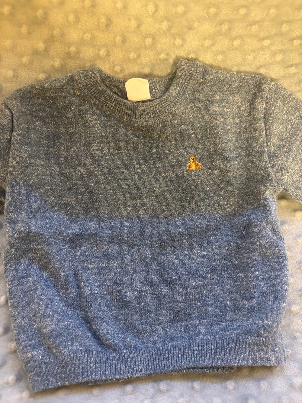GAP Two-Tone Blue Crewneck Sweater with Gold Embroidered Accent